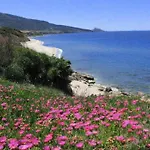 Prázdninový dům Alba Stupendo In Fronte Mare - Golfo Dell'asinara - Internet Free Valledoria (Sardinia)
