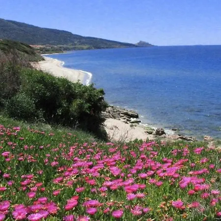 度假居 Alba Stupendo In Fronte Mare - Golfo Dell'asinara - Internet Free 瓦雷多利亚