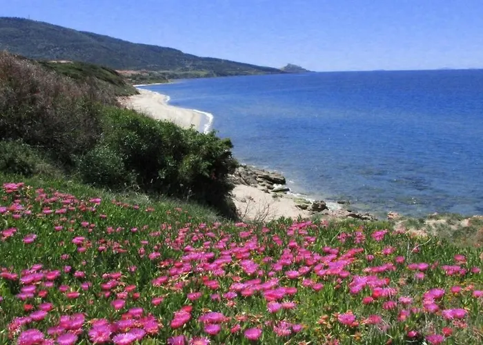 Дом отдыха Alba Stupendo In Fronte Mare - Golfo Dell'asinara - Internet Free Валледория